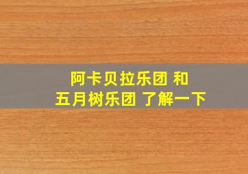 阿卡贝拉乐团 和 五月树乐团 了解一下